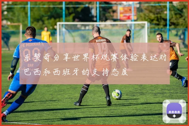 东契奇分享世界杯观赛体验表达对巴西和西班牙的支持态度
